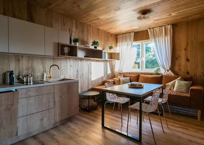 Unique Lipno Apartment